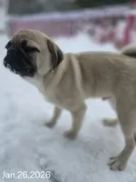 processed/da43ab20-15af-4d6f-a50a-23f84bd4d0c7/listing/ced47225-d4e5-4045-8b45-67bef71eaa12/6c9ef50f-a891-45e3-b116-c989c13eca53