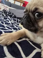 processed/da43ab20-15af-4d6f-a50a-23f84bd4d0c7/listing/ced47225-d4e5-4045-8b45-67bef71eaa12/fa2a9f0c-ab85-4068-9c18-59a65feaac68