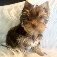 processed/da4aa61b-1f10-4f57-b8d0-9f7590e5c19b/facility/30243719-1240-4992-a97a-b402b40a6529