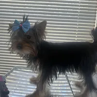 processed/da4aa61b-1f10-4f57-b8d0-9f7590e5c19b/facility/38f6d4d6-7ee3-4335-9de0-fa33eec15236