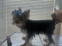 processed/da4aa61b-1f10-4f57-b8d0-9f7590e5c19b/facility/38f6d4d6-7ee3-4335-9de0-fa33eec15236