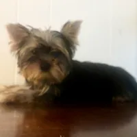 processed/da4aa61b-1f10-4f57-b8d0-9f7590e5c19b/facility/3fdac80c-4f84-42ee-a06f-df1cac0da846