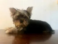 processed/da4aa61b-1f10-4f57-b8d0-9f7590e5c19b/facility/3fdac80c-4f84-42ee-a06f-df1cac0da846