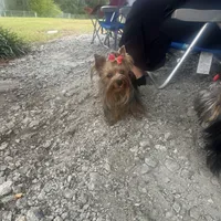 processed/da4aa61b-1f10-4f57-b8d0-9f7590e5c19b/facility/562cd717-525f-4319-9f8b-ba0182baa02e