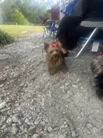 processed/da4aa61b-1f10-4f57-b8d0-9f7590e5c19b/facility/562cd717-525f-4319-9f8b-ba0182baa02e