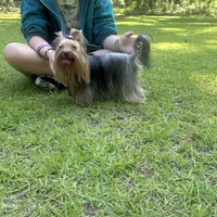 processed/da4aa61b-1f10-4f57-b8d0-9f7590e5c19b/facility/58f12e6c-e54e-4439-80ef-4f5de148c437