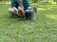 processed/da4aa61b-1f10-4f57-b8d0-9f7590e5c19b/facility/58f12e6c-e54e-4439-80ef-4f5de148c437