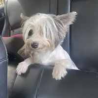 processed/da4aa61b-1f10-4f57-b8d0-9f7590e5c19b/facility/59df9f17-6a0d-4789-b0db-d1195b7c8f8f