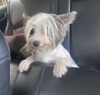 processed/da4aa61b-1f10-4f57-b8d0-9f7590e5c19b/facility/59df9f17-6a0d-4789-b0db-d1195b7c8f8f