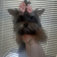 processed/da4aa61b-1f10-4f57-b8d0-9f7590e5c19b/facility/5bc4109f-7208-477e-a98f-11043b94bb07