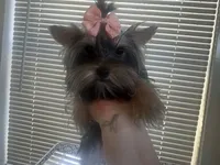 processed/da4aa61b-1f10-4f57-b8d0-9f7590e5c19b/facility/5bc4109f-7208-477e-a98f-11043b94bb07