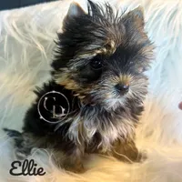 processed/da4aa61b-1f10-4f57-b8d0-9f7590e5c19b/facility/9debb7d2-73f2-4fa9-ace0-73bc095f243f