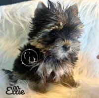 processed/da4aa61b-1f10-4f57-b8d0-9f7590e5c19b/facility/9debb7d2-73f2-4fa9-ace0-73bc095f243f