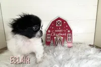 processed/da4aa61b-1f10-4f57-b8d0-9f7590e5c19b/listing/4d140b86-e6fe-4943-b810-5878b2baad9a/3311e09c-3513-4e68-8e09-0f2c75d898f6