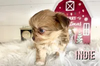 processed/da4aa61b-1f10-4f57-b8d0-9f7590e5c19b/listing/6994ffb5-88f6-400c-8c8d-580bd7431ee3/0104accf-a590-4461-8782-4f002f125047