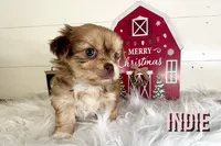 processed/da4aa61b-1f10-4f57-b8d0-9f7590e5c19b/listing/6994ffb5-88f6-400c-8c8d-580bd7431ee3/4297d771-552a-495d-bc64-5ebd8a43a0bf