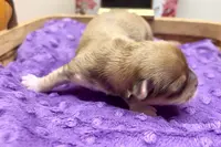 processed/da4aa61b-1f10-4f57-b8d0-9f7590e5c19b/listing/6994ffb5-88f6-400c-8c8d-580bd7431ee3/4eb2bfd3-3bbe-4bc8-b3ca-719cf7238b82