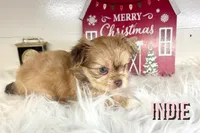 processed/da4aa61b-1f10-4f57-b8d0-9f7590e5c19b/listing/6994ffb5-88f6-400c-8c8d-580bd7431ee3/ca7b9416-d1ab-40d8-97a8-e7925020995b