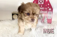 processed/da4aa61b-1f10-4f57-b8d0-9f7590e5c19b/listing/6994ffb5-88f6-400c-8c8d-580bd7431ee3/e36e6f26-3186-4347-8594-7f50f14000c0