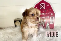 processed/da4aa61b-1f10-4f57-b8d0-9f7590e5c19b/listing/6994ffb5-88f6-400c-8c8d-580bd7431ee3/e8aaca32-e2d3-49bd-adc6-582dc6ccd97d