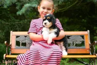 processed/da4fc46f-d5ad-40bc-967f-2a752ce6d855/listing/34be3508-e5f0-4042-8b86-a7a0f215f6e9/21ff291e-3522-45b0-9158-e9b0d2dc3ab6