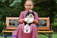 processed/da4fc46f-d5ad-40bc-967f-2a752ce6d855/listing/8aeb3f15-22a4-4cff-8726-ac2378b066ff/664f148f-68e2-4116-8ab4-22b2faf5d5f8