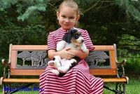 processed/da4fc46f-d5ad-40bc-967f-2a752ce6d855/listing/8aeb3f15-22a4-4cff-8726-ac2378b066ff/a57b44ab-3f18-48f4-bd71-a5f375d42e30