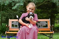 processed/da4fc46f-d5ad-40bc-967f-2a752ce6d855/listing/8aeb3f15-22a4-4cff-8726-ac2378b066ff/d5ce7f9d-782e-4ba6-8fae-589ce29c9e0d