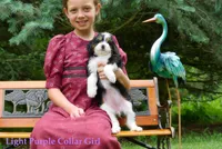 processed/da4fc46f-d5ad-40bc-967f-2a752ce6d855/listing/cf90f9ba-7e7a-4a71-b8e6-12f4d30496f8/28a6f923-78fd-4e0f-9543-967fc3faa1a3