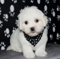 processed/da524858-4a23-4cb9-a676-86aec85860e9/listing/0507cfdd-ce0a-4e30-941d-bbd8d5a69a92/02c135dd-1295-4f16-ac31-f0e769311f52