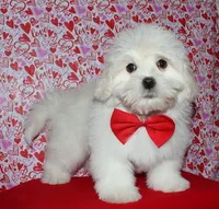 processed/da524858-4a23-4cb9-a676-86aec85860e9/listing/0507cfdd-ce0a-4e30-941d-bbd8d5a69a92/07c8fdca-588b-4aa7-bbee-1eed9bff0e3d