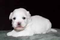 processed/da524858-4a23-4cb9-a676-86aec85860e9/listing/0507cfdd-ce0a-4e30-941d-bbd8d5a69a92/133c51ee-d1c6-4fed-a94b-789095c0cc4a