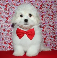 processed/da524858-4a23-4cb9-a676-86aec85860e9/listing/0507cfdd-ce0a-4e30-941d-bbd8d5a69a92/244ea39f-9507-488d-bcfe-5e3864bdb818