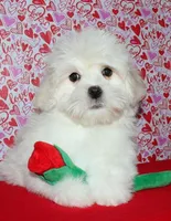 processed/da524858-4a23-4cb9-a676-86aec85860e9/listing/0507cfdd-ce0a-4e30-941d-bbd8d5a69a92/808de522-0076-4a70-99a5-9b565e5132d5