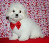 processed/da524858-4a23-4cb9-a676-86aec85860e9/listing/0507cfdd-ce0a-4e30-941d-bbd8d5a69a92/8f6299a3-c4f2-431c-9a05-338d71226f03