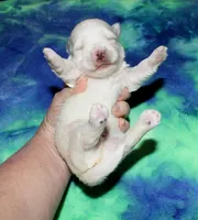 processed/da524858-4a23-4cb9-a676-86aec85860e9/listing/0507cfdd-ce0a-4e30-941d-bbd8d5a69a92/eee42579-cdc0-4410-bdbe-703f2e736368