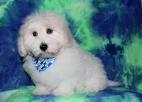 processed/da524858-4a23-4cb9-a676-86aec85860e9/listing/0833d937-23a6-4d24-8147-5167e2110f07/20d17ec0-ade8-4072-9c4a-c631f5329f6c