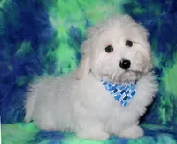 processed/da524858-4a23-4cb9-a676-86aec85860e9/listing/0833d937-23a6-4d24-8147-5167e2110f07/23600243-6bac-442b-9c51-3e28bb34c571