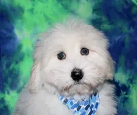 processed/da524858-4a23-4cb9-a676-86aec85860e9/listing/0833d937-23a6-4d24-8147-5167e2110f07/449a2bd1-1b7e-41cd-9c15-e773586bc99a