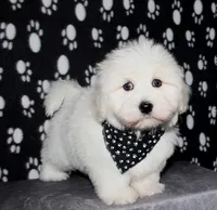 processed/da524858-4a23-4cb9-a676-86aec85860e9/listing/0833d937-23a6-4d24-8147-5167e2110f07/4a18cdc2-b764-4f0b-9ff0-5b1867fb2be7