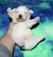 processed/da524858-4a23-4cb9-a676-86aec85860e9/listing/0833d937-23a6-4d24-8147-5167e2110f07/9a1ee5e2-64b2-4bc3-b221-49a6b723df28