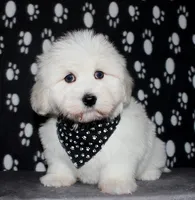 processed/da524858-4a23-4cb9-a676-86aec85860e9/listing/0833d937-23a6-4d24-8147-5167e2110f07/a47ed626-8cc9-4c10-9ad1-d5c89796dad8