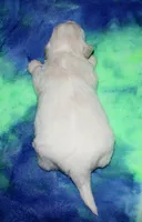 processed/da524858-4a23-4cb9-a676-86aec85860e9/listing/0833d937-23a6-4d24-8147-5167e2110f07/a6e2ccb4-a7db-4053-9179-a21e2470e2be