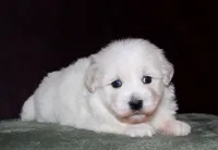 processed/da524858-4a23-4cb9-a676-86aec85860e9/listing/0833d937-23a6-4d24-8147-5167e2110f07/ad60afc9-c559-4a10-a064-fc8ba6d695de