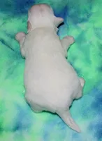 processed/da524858-4a23-4cb9-a676-86aec85860e9/listing/0e1ec14a-8e02-4432-9bcc-5835882933fa/34352003-2c2d-4325-b0c8-d0a579a307dd