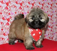 processed/da524858-4a23-4cb9-a676-86aec85860e9/listing/132b38c9-ba8e-4b01-93eb-c09b8f86d877/6ae46522-43e5-4947-a47e-2c37ebb9f51c