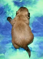 processed/da524858-4a23-4cb9-a676-86aec85860e9/listing/132b38c9-ba8e-4b01-93eb-c09b8f86d877/ccb4170a-54b7-4720-8628-847516358864