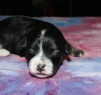 processed/da524858-4a23-4cb9-a676-86aec85860e9/listing/1b4d1dc7-f3fb-48ff-a77a-484b7fd1db35/908cb3e6-0b1b-42cf-b660-8d993dd0a7a9