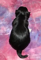 processed/da524858-4a23-4cb9-a676-86aec85860e9/listing/1b4d1dc7-f3fb-48ff-a77a-484b7fd1db35/9e5a2f93-d1b8-4240-85fd-6085d73ac1db