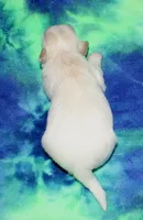 processed/da524858-4a23-4cb9-a676-86aec85860e9/listing/1c0fa5e8-2a34-4b30-84bf-440bb8bb73a8/333067e1-2585-4191-a6da-1401be953bd3